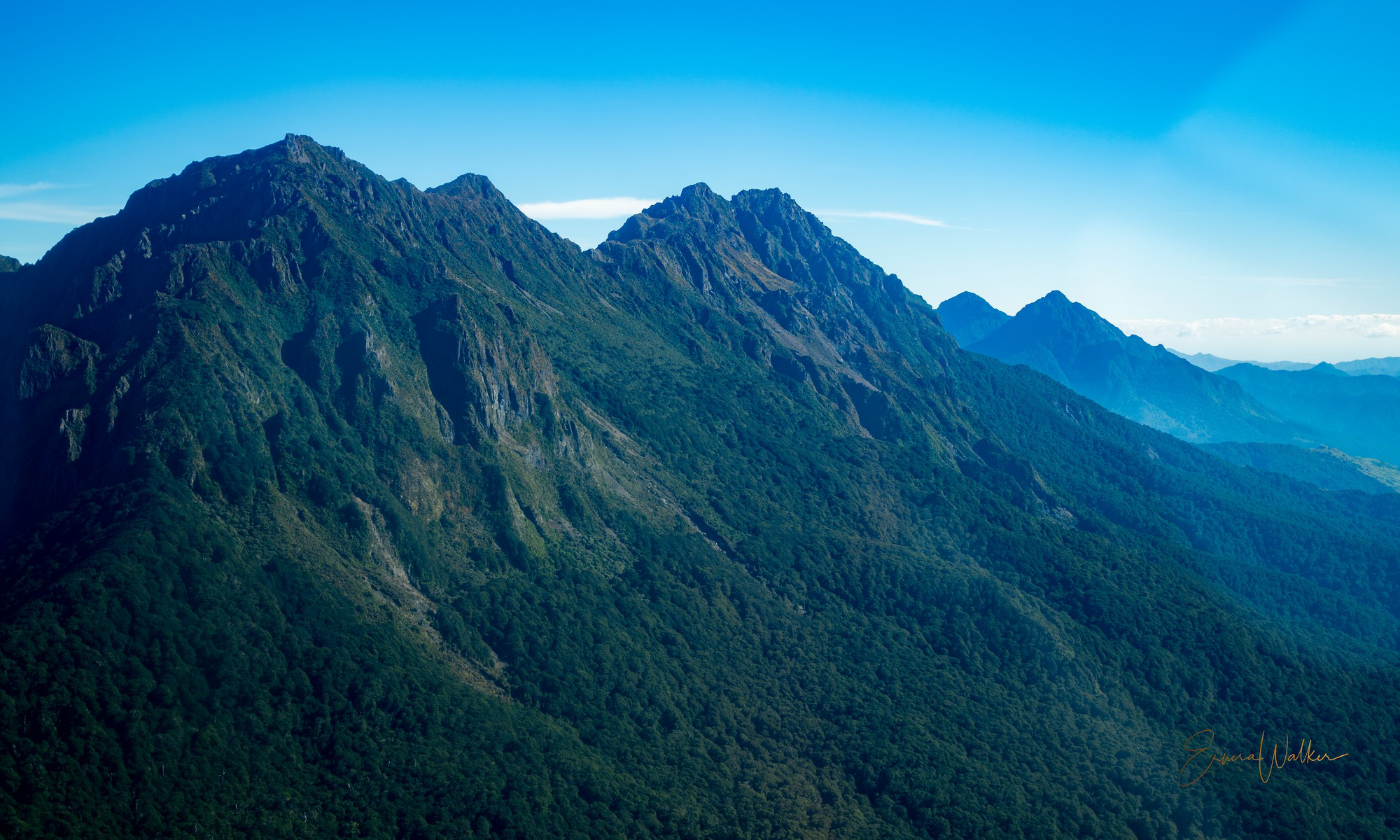 Hikurangi Maunga. Image by Eruera Walker